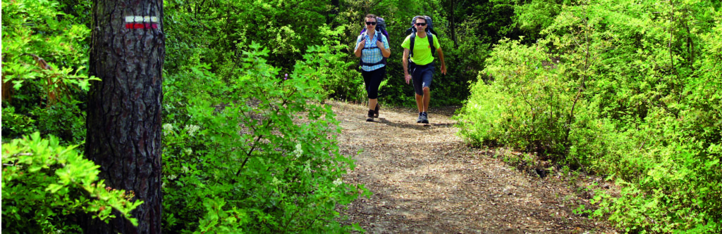 Sentiers de randonnée et balisage des GR