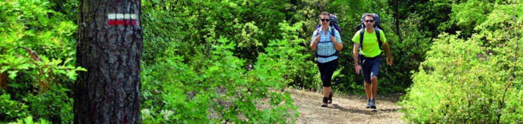 MaRando l’application assure dans les Vosges