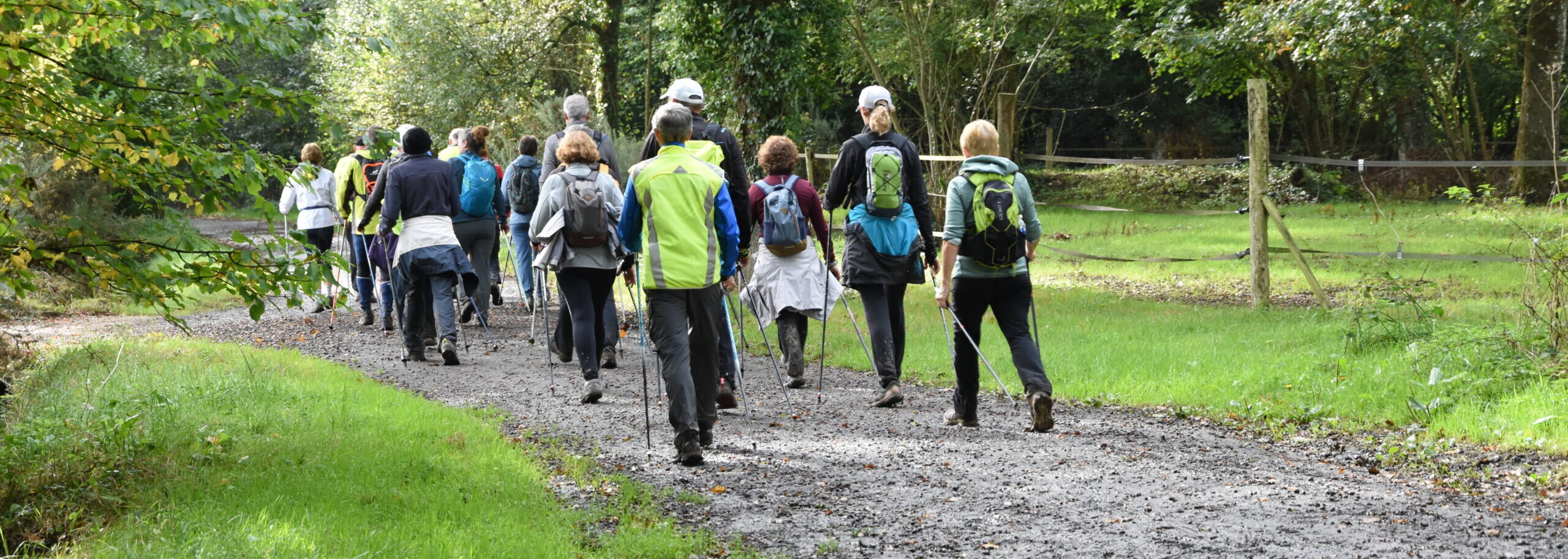 page-pratiques-3-scaled